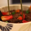 dirtcake dirtcake