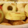 easy crockpot applesauce easy crockpot applesauce