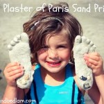 beach craft plaster of paris beach craft plaster of paris