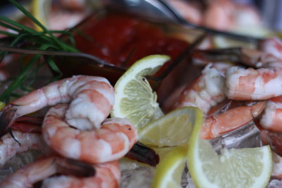 shrimp appetizer_opt