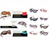 sunglasses sunglasses