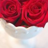 roses in milk glass