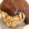 No Bake Chocolate Peanut Butter cookie