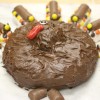 Turkey Cake Turkey Cake