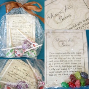 Magic Jelly Beans Lollipop garden tradition 300x300 Magic Jelly Beans Lollipop garden tradition