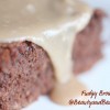 fudgy brownies fudgy brownies
