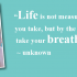 joy quote joy quote