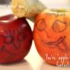 Fun fruit lunch ideas for kids
