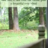 Take Rest Take Rest