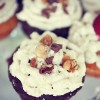 doctored up chocolate cupcakes doctored up chocolate cupcakes
