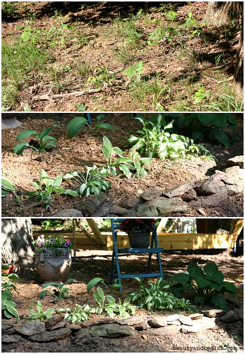Before and after landscaping. Using what we had and dividing hostas