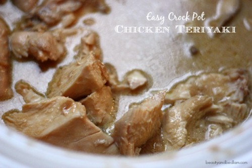 Easy Crockpot Chicken Teriyaki