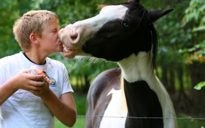 My Son’s First Kiss