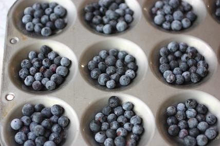 freeze blueberry