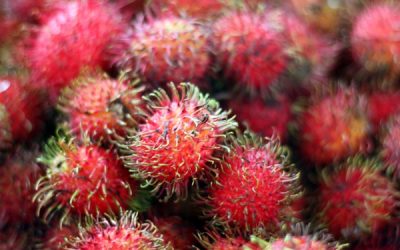 Tasty Tuesday: Guess This Food