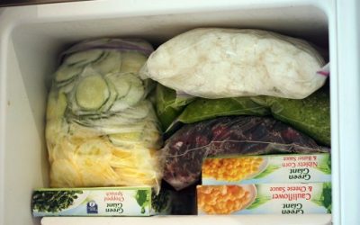 Do Your Eating Habits Change During the Seasons? Tasty Tuesday