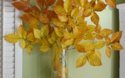 Easy, One Minute Thanksgiving Decorations