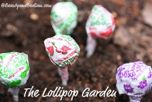 Lollipop Garden