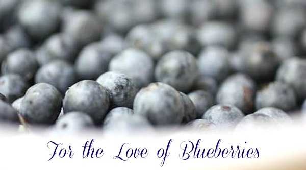 For the Love of Blueberries