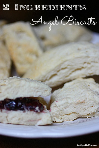 2 Ingredients: Too Good to Be True Homemade Biscuits