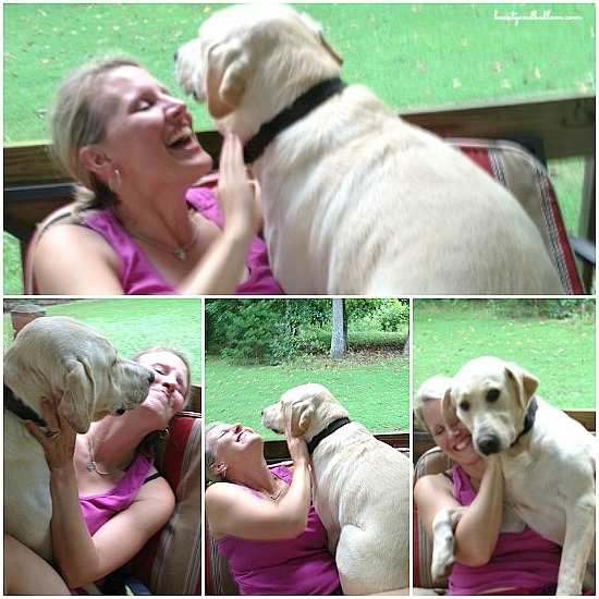 Can You Relate to Our 180 Pound Lap Dog?