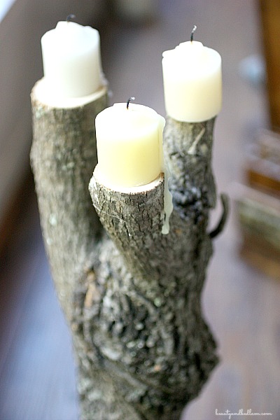 Tree branch candle holders