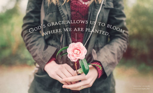 God's grace allows us to bloom where we are planted