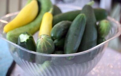 How is Your Garden Growing? Tasty Tuesday